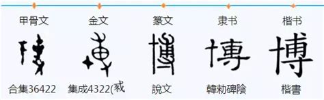 博字五行|博的五行